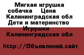 Мягкая игрушка “собачка“ › Цена ­ 400 - Калининградская обл. Дети и материнство » Игрушки   . Калининградская обл.